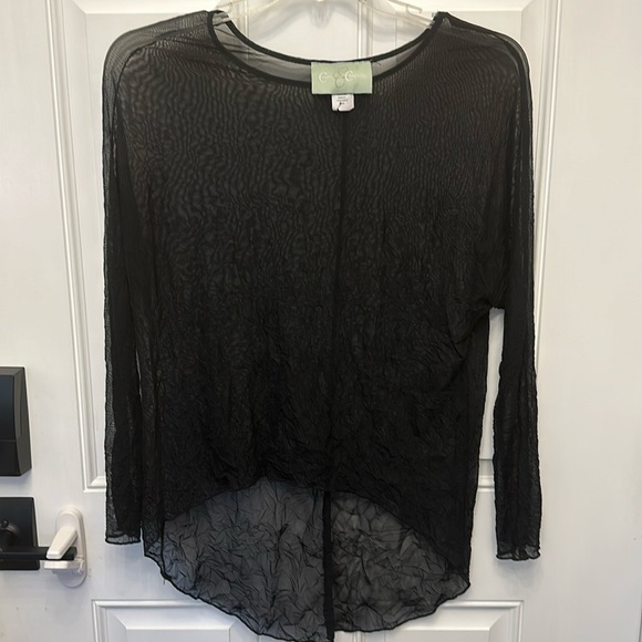 Black Sheer mesh- long sleeve-small - Picture 1 of 4